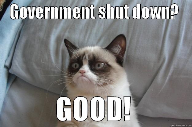 Grumpy Guvmnt cat - GOVERNMENT SHUT DOWN? GOOD! Grumpy Cat