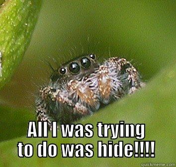  ALL I WAS TRYING TO DO WAS HIDE!!!! Misunderstood Spider