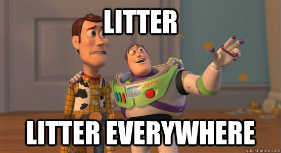 Litter litter everywhere  Toy Story Everywhere