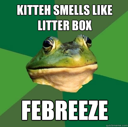 Kitteh smells like litter box febreeze  Foul Bachelor Frog