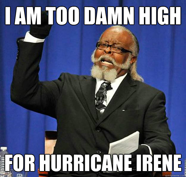 I AM TOO DAMN HIGH FOR HURRICANE IRENE  Jimmy McMillan