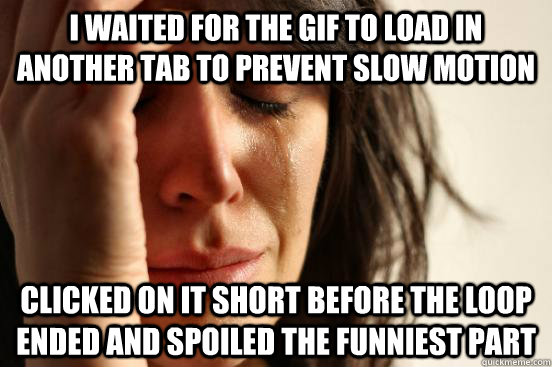 I WAITED FOR THE GIF TO LOAD IN ANOTHER TAB TO PREVENT SLOW MOTION CLICKED ON IT SHORT BEFORE THE LOOP ENDED AND SPOILED THE FUNNIEST PART - I WAITED FOR THE GIF TO LOAD IN ANOTHER TAB TO PREVENT SLOW MOTION CLICKED ON IT SHORT BEFORE THE LOOP ENDED AND SPOILED THE FUNNIEST PART  First World Problems