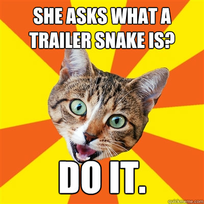 She asks what a trailer snake is? Do it.  Bad Advice Cat