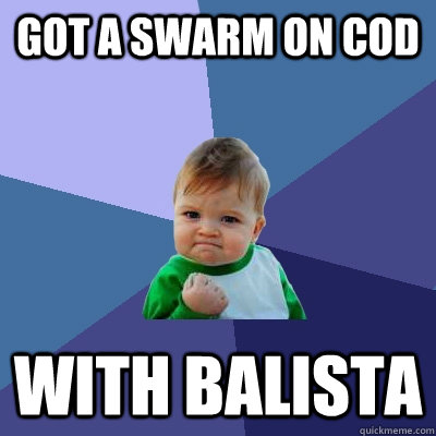 got a swarm on cod with balista  Success Kid