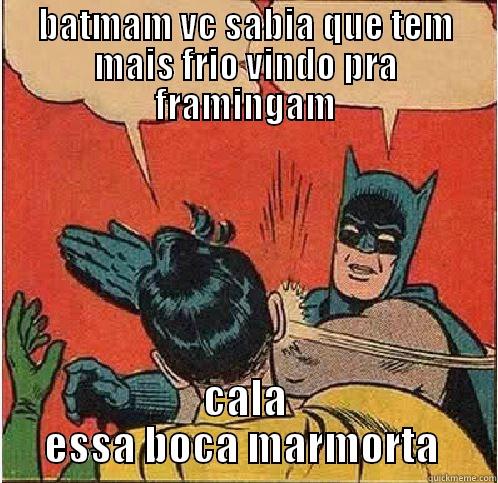 BATMAM VC SABIA QUE TEM MAIS FRIO VINDO PRA FRAMINGAM CALA ESSA BOCA MARMORTA  Batman Slapping Robin