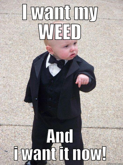 I WANT MY WEED AND I WANT IT NOW! Baby Godfather