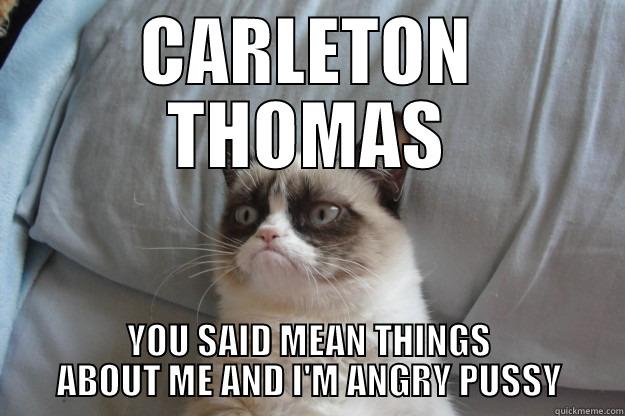 CARLETON THOMAS  - CARLETON THOMAS YOU SAID MEAN THINGS ABOUT ME AND I'M ANGRY PUSSY Grumpy Cat