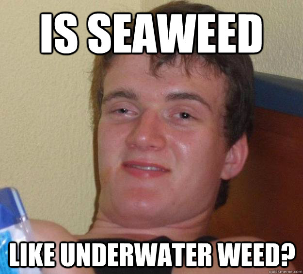 Is seaweed  like underwater weed?  10 Guy