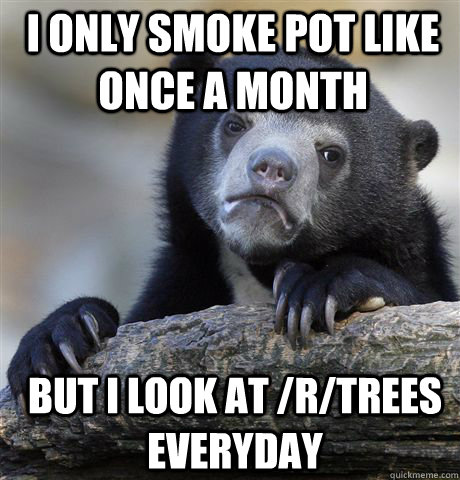 I ONLY SMOKE POT LIKE ONCE A MONTH BUT I LOOK AT /R/TREES EVERYDAY - I ONLY SMOKE POT LIKE ONCE A MONTH BUT I LOOK AT /R/TREES EVERYDAY  Confession Bear