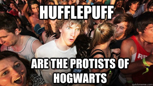 Hufflepuff Are The Protists Of Hogwarts Sudden Clarity Clarence