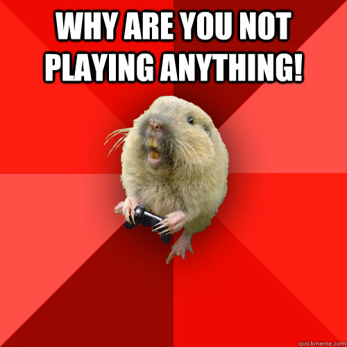 why are you not playing anything!  Gaming Gopher