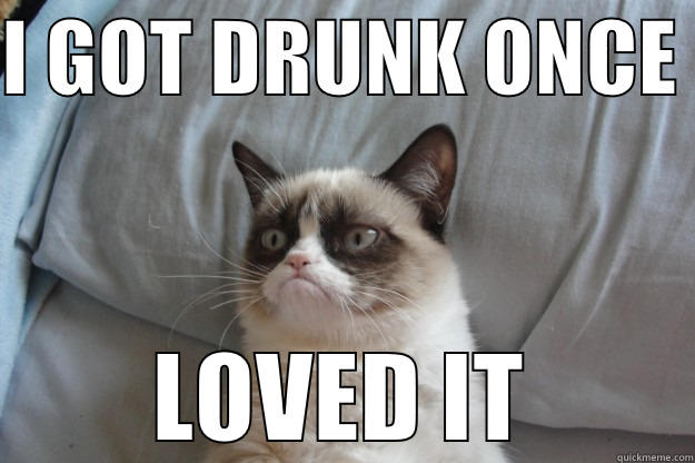 I GOT DRUNK ONCE  LOVED IT Grumpy Cat