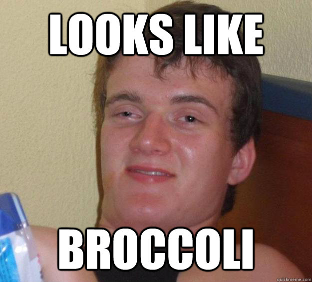 Looks like Broccoli   10 Guy