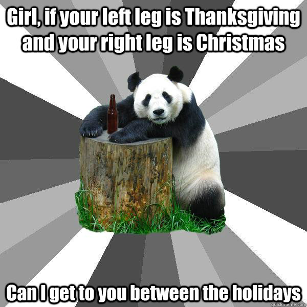 Girl, if your left leg is Thanksgiving and your right leg is Christmas  Can I get to you between the holidays  Pickup-Line Panda