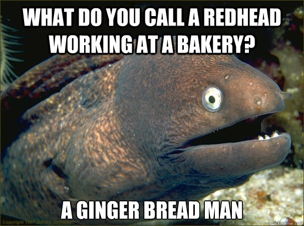 what do you call a redhead working at a bakery? a ginger bread man  Bad Joke Eel