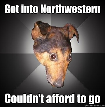 Got into Northwestern Couldn't afford to go  Depression Dog