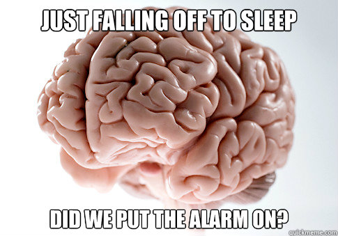 JUST FALLING OFF TO SLEEP DID WE PUT THE ALARM ON?  Scumbag Brain