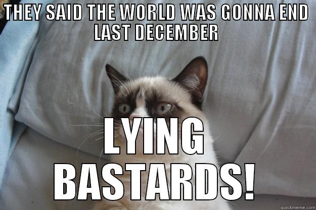 mAYAN FUN - THEY SAID THE WORLD WAS GONNA END LAST DECEMBER LYING BASTARDS! Grumpy Cat