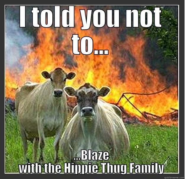 I TOLD YOU NOT TO... ...BLAZE WITH THE HIPPIE THUG FAMILY Evil cows