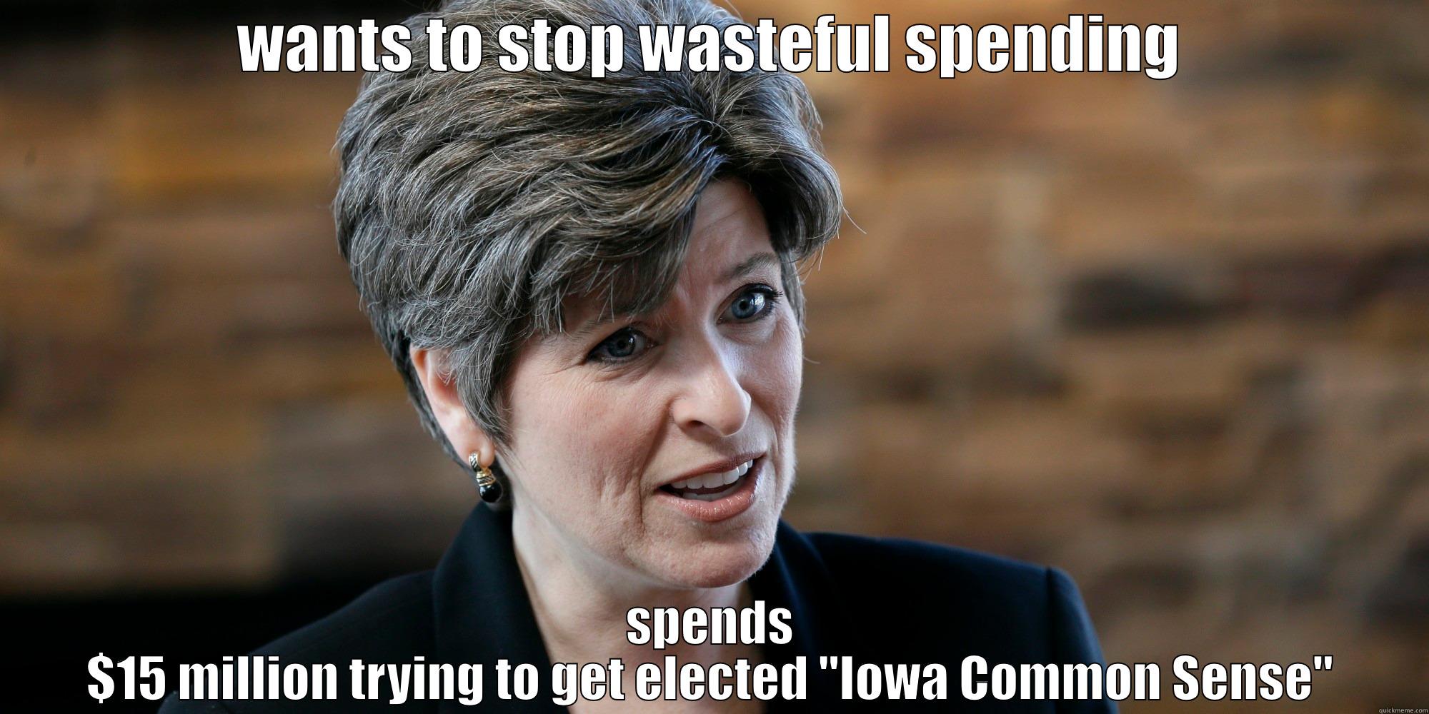 WANTS TO STOP WASTEFUL SPENDING SPENDS $15 MILLION TRYING TO GET ELECTED 