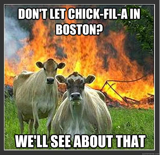 Don't let Chick-Fil-A in Boston? We'll see about that   Evil cows