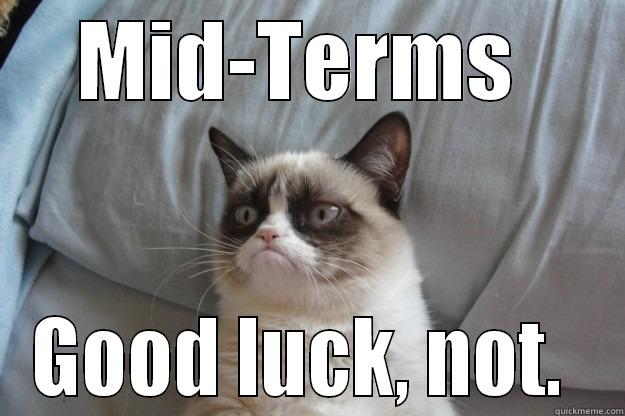 MID-TERMS  GOOD LUCK, NOT.  Grumpy Cat