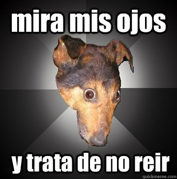 mira mis ojos   y trata de no reir  Depression Dog