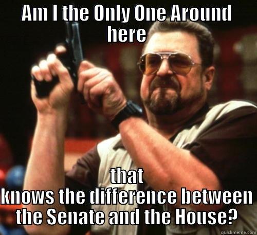 Senate vs Congress - AM I THE ONLY ONE AROUND HERE THAT KNOWS THE DIFFERENCE BETWEEN THE SENATE AND THE HOUSE? Am I The Only One Around Here