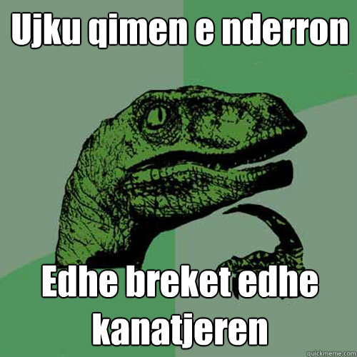 Ujku qimen e nderron Edhe breket edhe kanatjeren  Philosoraptor