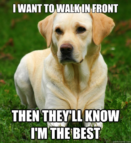 I want to walk in front Then they'll know I'm the best  Dog Logic