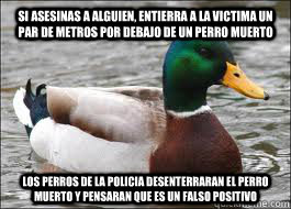 si asesinas a alguien, entierra a la victima un par de metros por debajo de un perro muerto los perros de la policia desenterraran el perro muerto y pensaran que es un falso positivo  Good Advice Duck