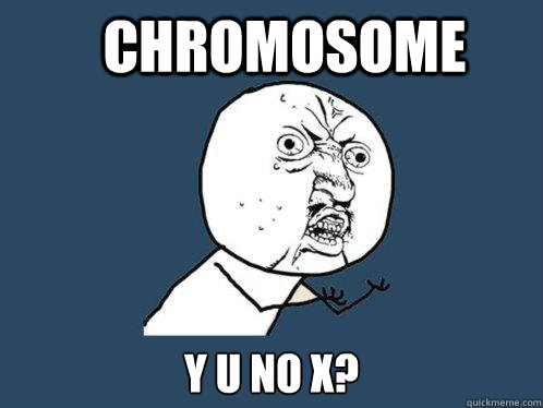 Chromosome y u no x?  Y U No