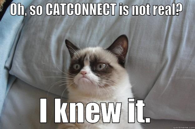 OH, SO CATCONNECT IS NOT REAL? I KNEW IT. Grumpy Cat