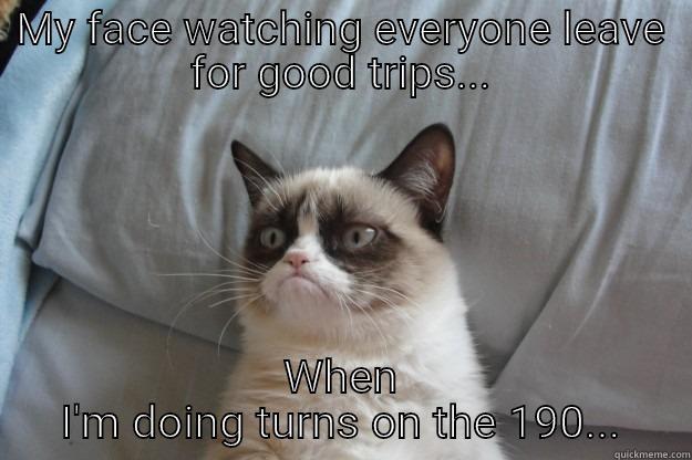 MY FACE WATCHING EVERYONE LEAVE FOR GOOD TRIPS... WHEN I'M DOING TURNS ON THE 190... Grumpy Cat