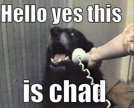 HELLO YES THIS    IS CHAD Misc