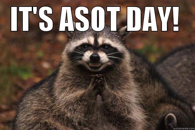 Come on bitch! - IT'S ASOT DAY!  Evil Plotting Raccoon