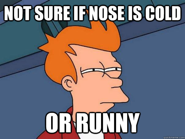 not sure if nose is cold or runny  Futurama Fry