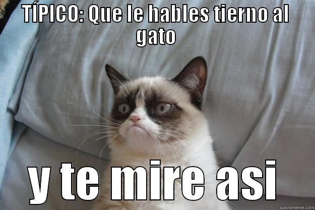 TIPICO : del gato - TÍPICO: QUE LE HABLES TIERNO AL GATO Y TE MIRE ASI Grumpy Cat