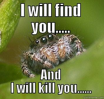 I WILL FIND YOU..... AND I WILL KILL YOU...... Misunderstood Spider