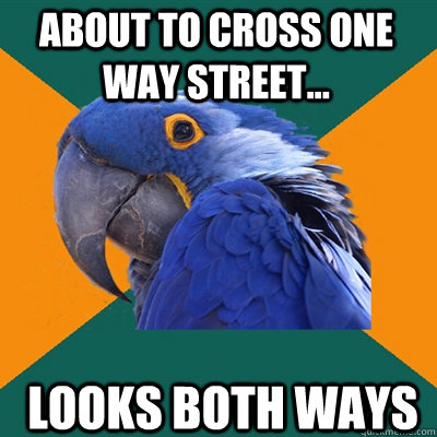 About to cross one way street... looks both ways  Paranoid Parrot