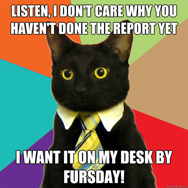 Listen, I don't care why you haven't done the report yet I WANT IT ON MY DESK BY FURSDAY!  Business Cat