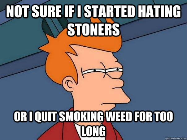 not sure if i started hating stoners or I quit smoking weed for too long - not sure if i started hating stoners or I quit smoking weed for too long  Futurama Fry