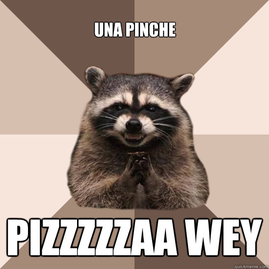 UNA PINCHE PIZZZZZAA WEY  Evil Plotting Raccoon