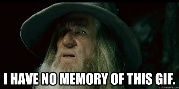  I have no memory of this gif. -  I have no memory of this gif.  I have no memory Gandalf