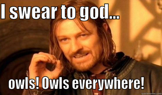 I swear to god... owls everywhere - I SWEAR TO GOD...              OWLS! OWLS EVERYWHERE!    Boromir