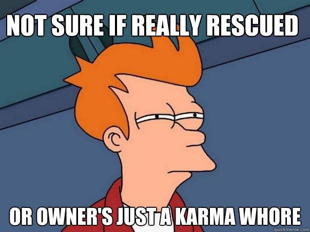 not sure if really rescued or owner's just a karma whore  Futurama Fry