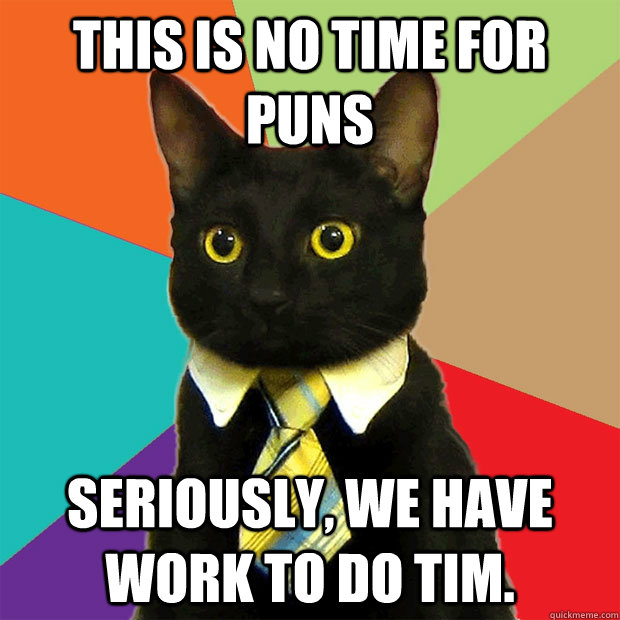 This is no time for puns Seriously, we have work to do tim.  Business Cat