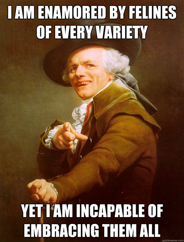 I am enamored by felines of every variety Yet I am incapable of  embracing them all - I am enamored by felines of every variety Yet I am incapable of  embracing them all  Joseph Ducreux