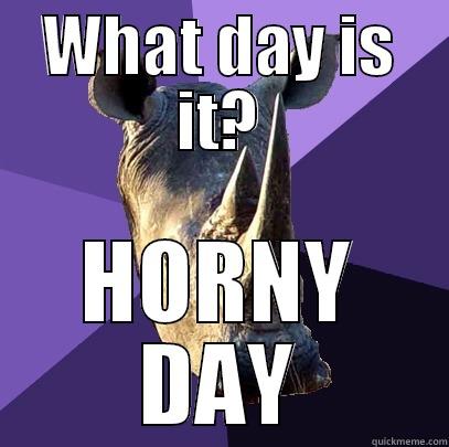 WHAT DAY IS IT? HORNY DAY Sexually Oblivious Rhino