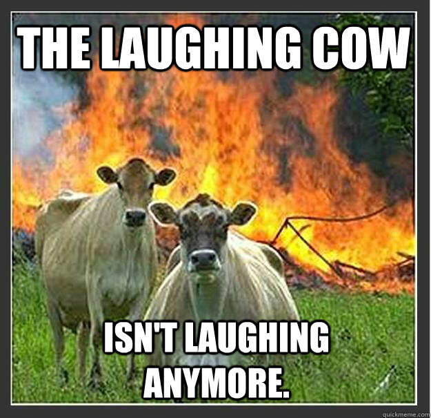 The Laughing Cow Isn't laughing anymore.   Evil cows